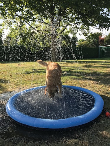 NOBBY Splash Pool Ø 150 cm