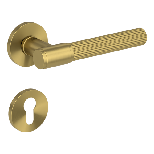 Griffwerk VAYA 136 ARIS fast2fix Fast2Fix Rosetten rund Profilzylinder Gold matt
