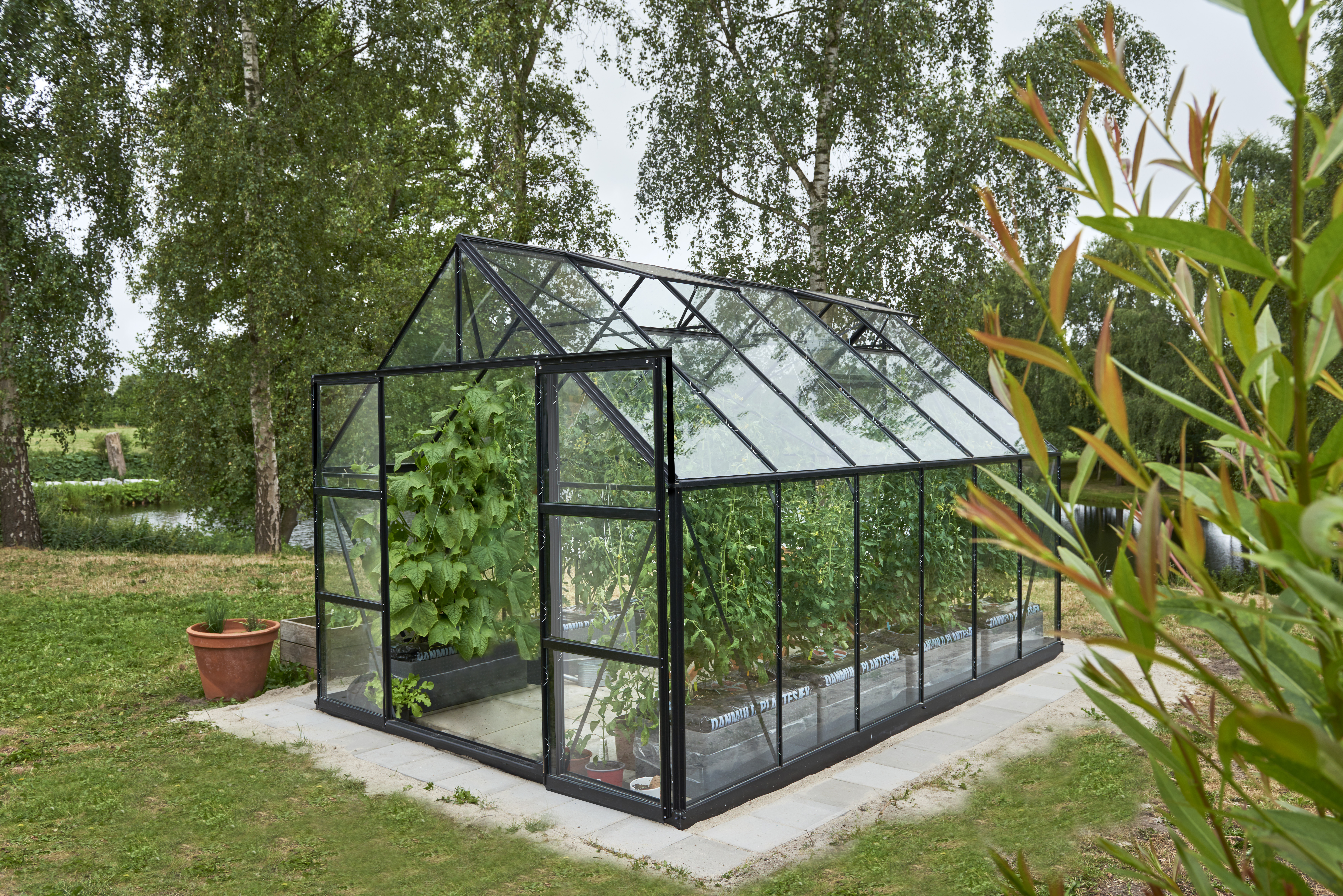 Halls Gewächshaus Universal - 9,9 m² - 3,84 x 2,57 m - 9,9 m² (Gr. 2), Doppeltür, 3 mm Sicherheitsglas, Schwarz