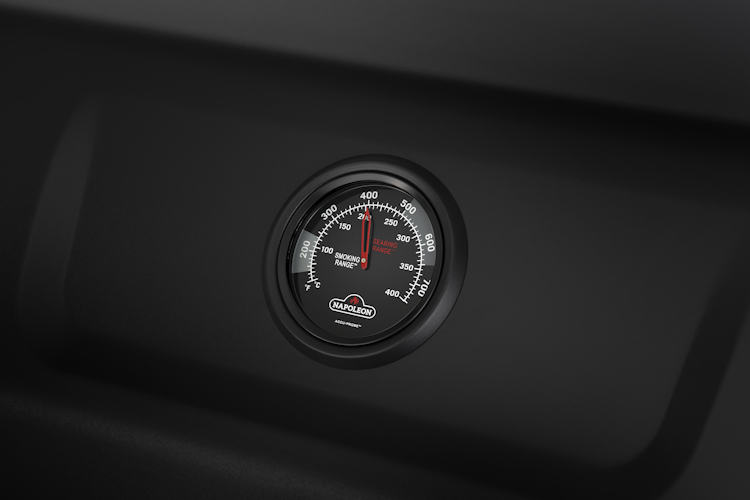 Napoleon Phantom Freestyle PRO 425, mit Edelstahl Rosten und Tür, Mattschwarz