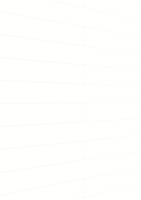 MEISTER Dekorpaneele MeisterPaneele. tertio DP 200 20128 Swedish white alle Längen