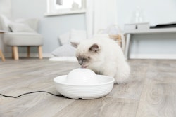 TRIXIE Vital Flow Trinkbrunnen