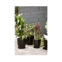 Vorschaubild Wikholm form Design Untersetzer schwarz ⌀ 19/23/28,5 cm