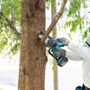 Vorschaubild Makita Akku-Astsäge DUC101RF01