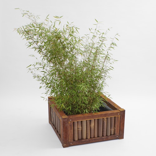 BambusBASIS Hochbeet - Profile Corten