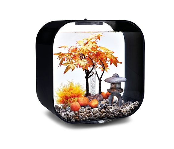 biOrb Decor Set 30L Herbst (55027)