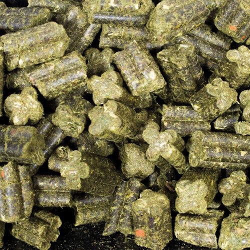 JR FARM Grainless Complete Meerschweinchen Kleintierfutter