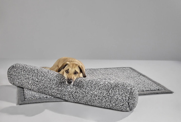 WOLTERS Sweet Dreams Schlafschlange 120 x 20 cm salt/pepper