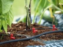 Vitavia Erweiterungs-Set zu HydromatZubehörbild