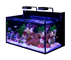 Red Sea MAX® Nano G2 XXL - excl. Unterschrank