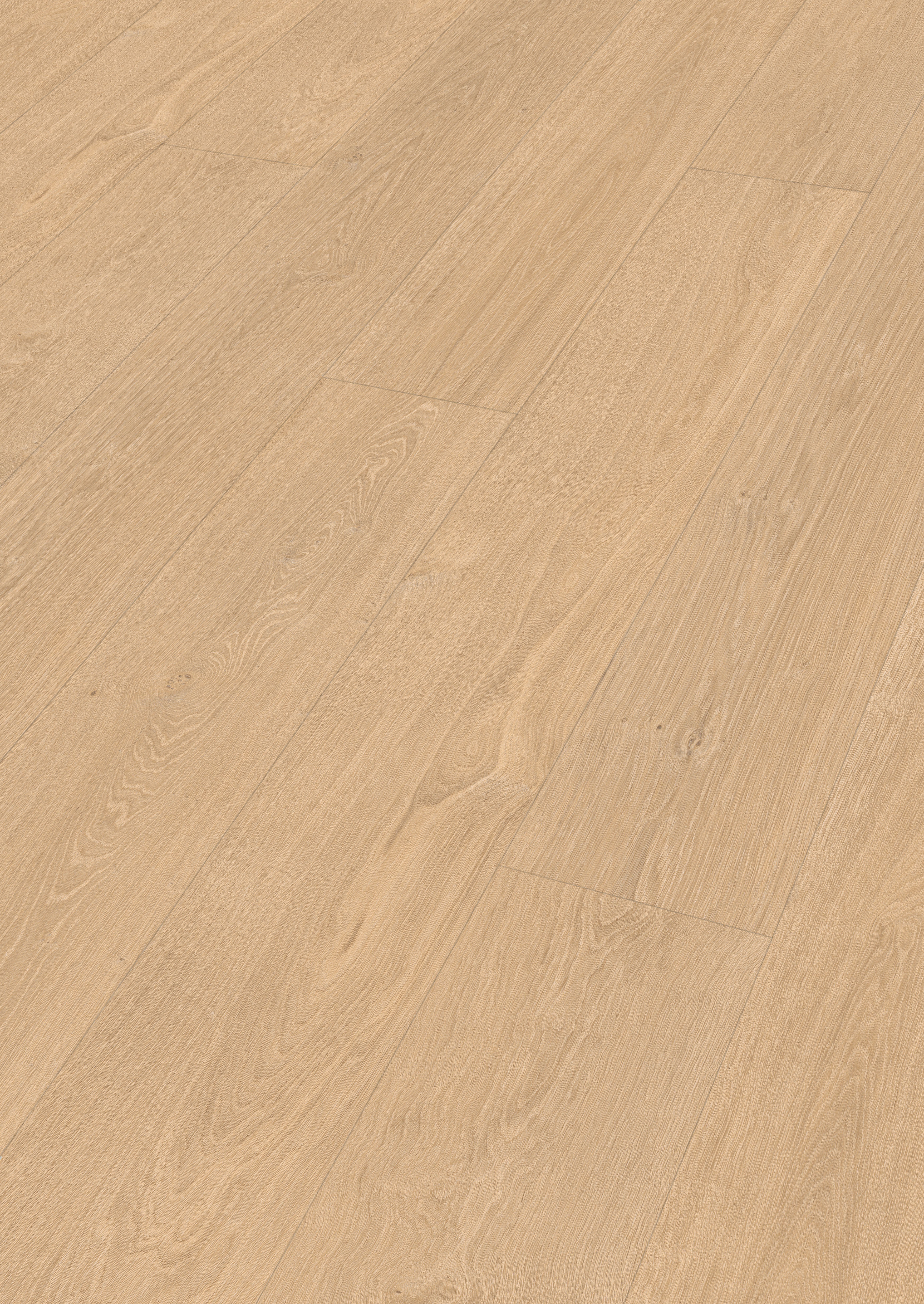 MEISTER Laminatboden MeisterDesign. laminate LL 250 2052 x 248 x 10 mm 07144 Taleiche hell Porensynchron-Struktur