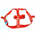 Vorschaubild Renngrib Motorrad Hinterrad Abspanngurt, Zurrgurt, Spanngurt - Rot