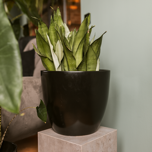 Wikholm form Design Pflanzgefäß / Blumentopf schwarz ⌀ 37 x H 32 cm