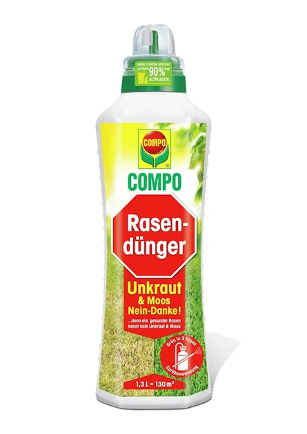 wirsing saatgut Saatgut Wirsingkohl Capriccio F1 - Brassica oleracea sabauda capriccio f1