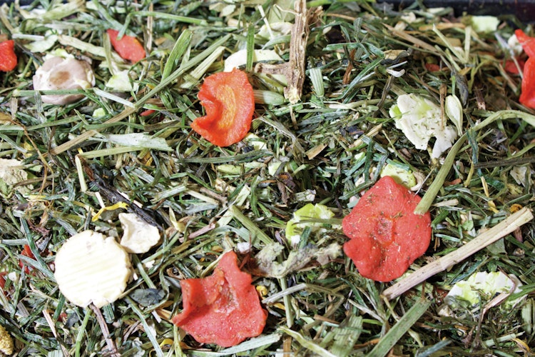 JR FARM Grainless Herbs Meerschweinchen Kleintierfutter