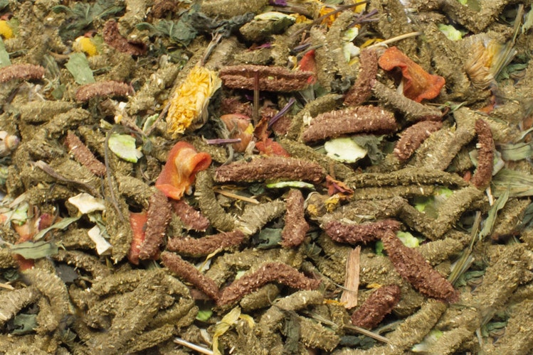 JR FARM Grainless Health Mix Chinchilla & Degu 600g Kleintierfutter