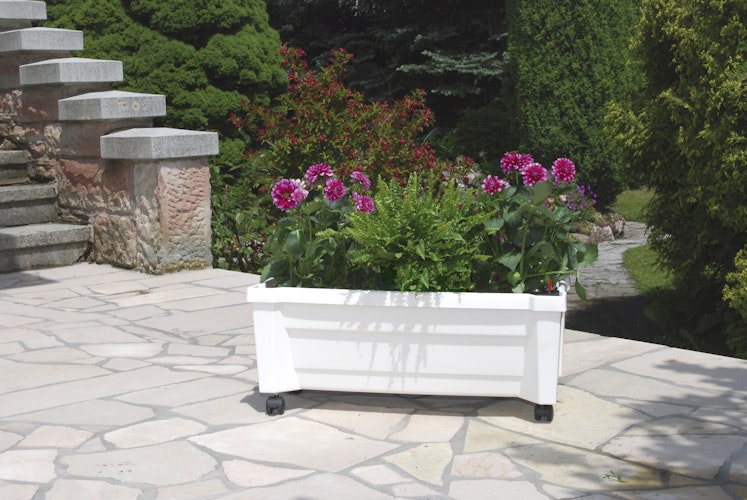 KHW Calypso Pflanzkasten auf Rollen mit Bewässerungssystem + modularem Spalier