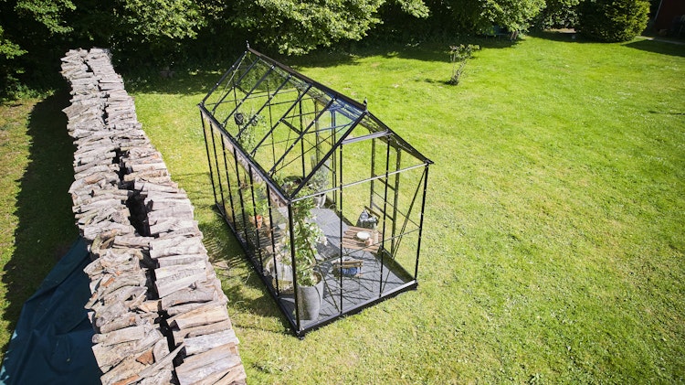 Halls Gewächshaus Icon Pflanzenhaus 6/8 - 7,3 m² / 9,7 m²