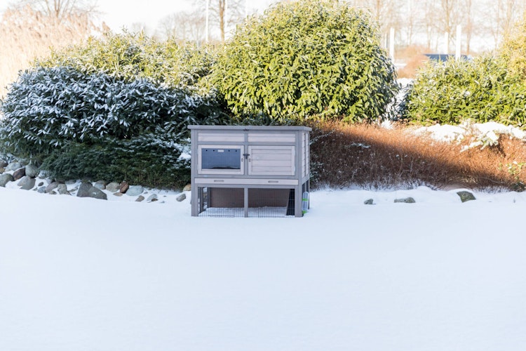 TRIXIE natura Kleintierstall XL mit Wärmedämmung, 120 × 98 × 94 cm