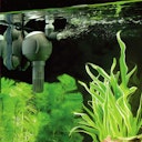 Vorschaubild EHEIM aquaball powerhead 650 Power-Diffusordüse für Aquarien