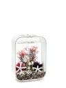 biOrb Decor Set 15L Red Forest (48442)