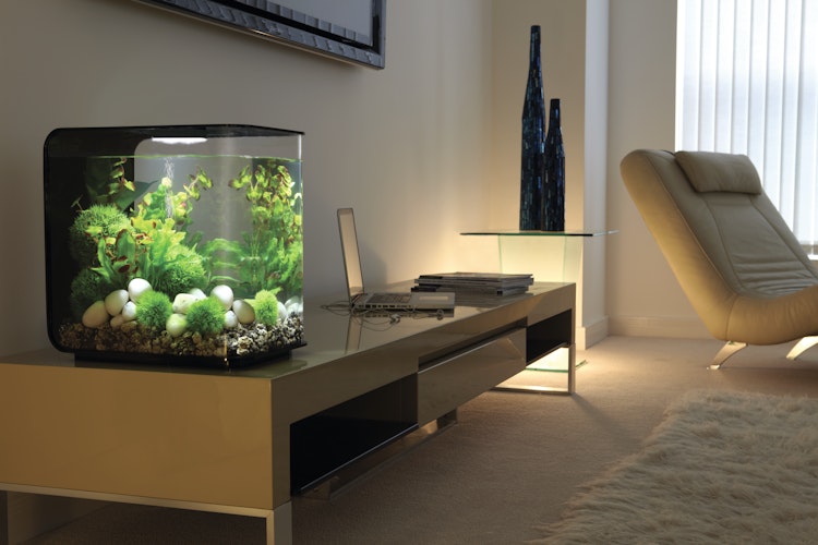 BiOrb Aquarium FLOW 15 LED