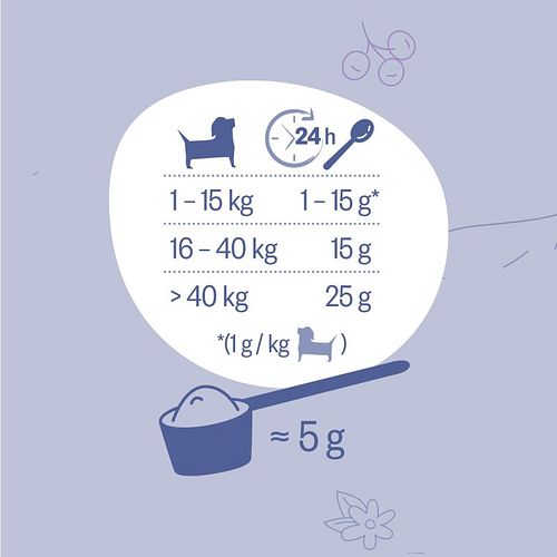 grau Hokamix30 Derma Nahrungsergänzung