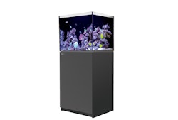 Red Sea REEFER™ 170 System G2+