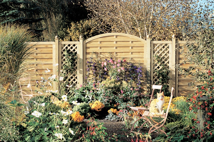 TraumGarten XL 89x179/89 cm mit Rankgitter