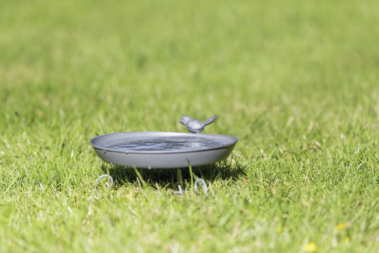 TRIXIE Vogeltränke/-bad aus Metall 800 Milliliter