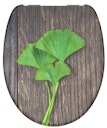 Vorschaubild Duroplast  WC-Sitz GINGKO&WOOD