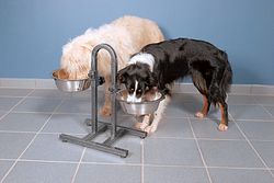 TRIXIE Hundebar, höhenverstellbar, Edelstahl/Metall, 2 × 2,8 l/ø 24 cm
