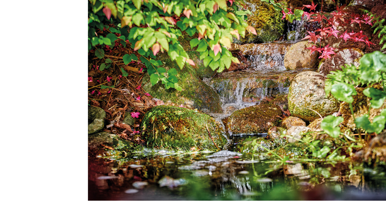 Pontec Filter- und Bachlaufpumpe PondoMax Eco 8500 C regulierbar