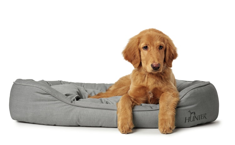 HUNTER Hundesofa Lancaster