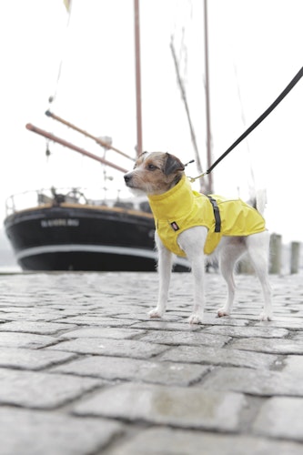 Trixie Regenmantel Vimy gelb Hundebekleidung