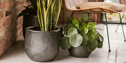 Vosteen Design Blumentopf / Pflanzgefäß Terrakotta schwarz ø 22 cm x H 19 cm