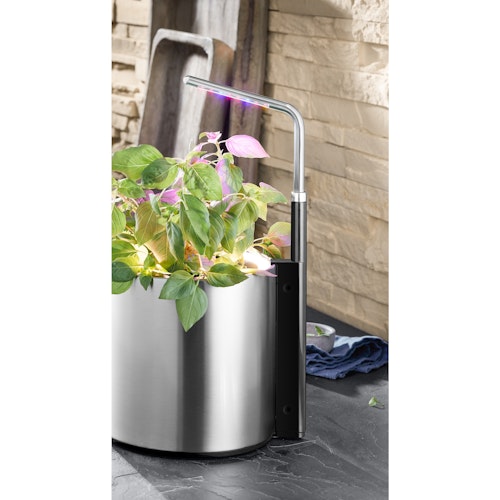 WMF Ambient Pflanzenlicht