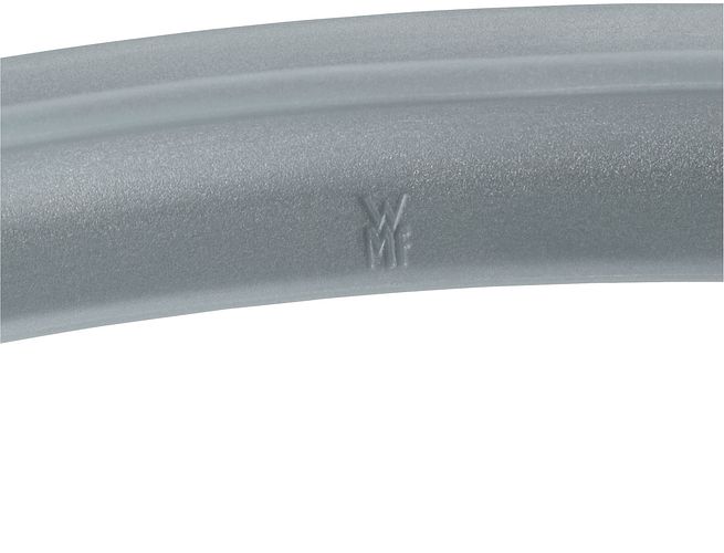 WMF Dichtungsring 22 cm