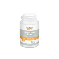 grau Intestinal Plus Tabletten Nahrungsergänzung