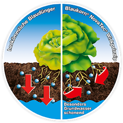 Blaukorn Wirkprinzip