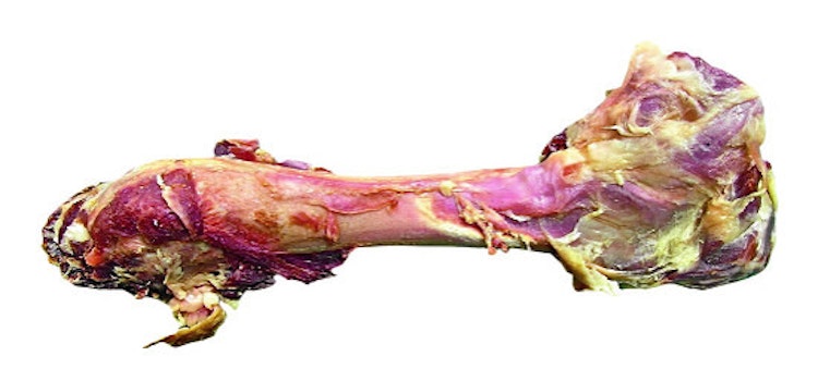 Santaniello Edelschinkenknochen Hundekauartikel