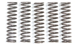 TRW Kupplungsfedernsatz MEF105-5