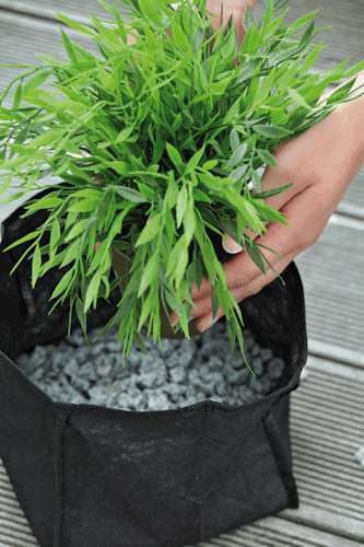 Oase Pflanzkorb Textil viereckig