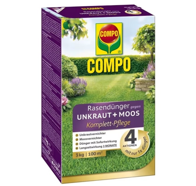gekeimte brokkolisamen bio Gekeimte Ur-Brokkoli Samen ✓ Brokkolisprossen main image 1