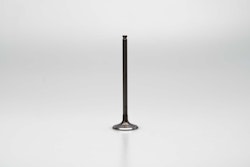 Daytona Einlassventil 24,5mm