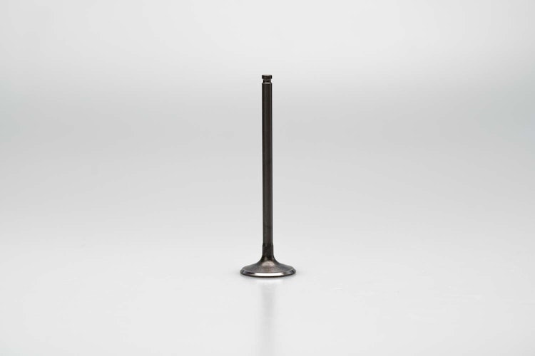 Daytona Einlassventil 24,5mm