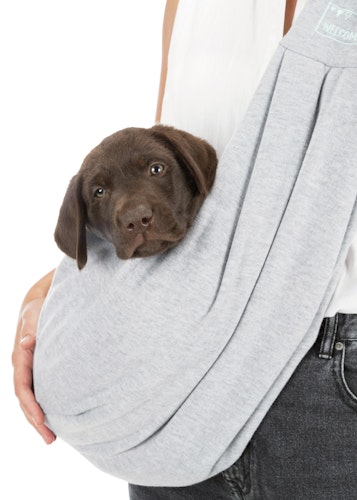 TRIXIE Junior Fronttasche 22x20x60cm hellgrau/mint