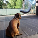 UPM ProFi Terrassendiele Design Deck-Steingrau