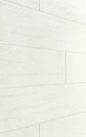 MEISTER Dekorpaneele MeisterPaneele. terra DP 200 / White Pine 4088