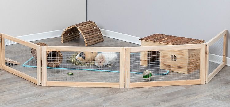 TRIXIE Indoor Freilaufgehege, Meerschweinchen, 4 Elemente à 60 × 30 cm